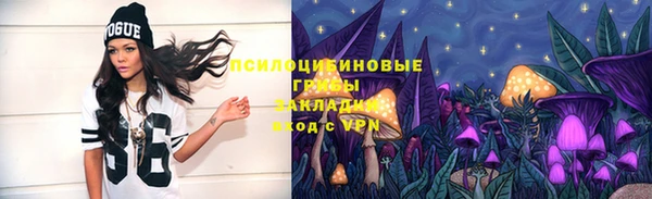 меф Щигры