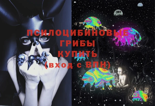 ПСИЛОЦИБИНОВЫЕ ГРИБЫ Щёлкино