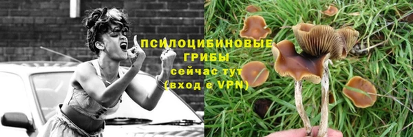 ПСИЛОЦИБИНОВЫЕ ГРИБЫ Щёлкино