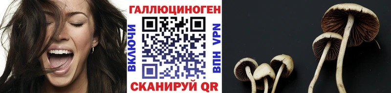 Псилоцибиновые грибы Magic Shrooms  Купить где  Островной 